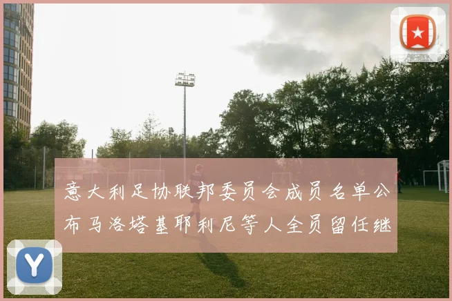 意大利足协联邦委员会成员名单公布马洛塔基耶利尼等人全员留任继续服务